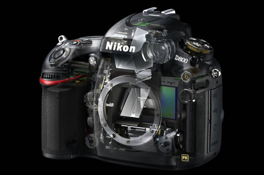 Nikon D800