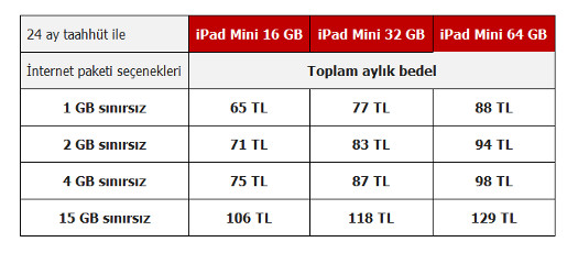 iPad mini