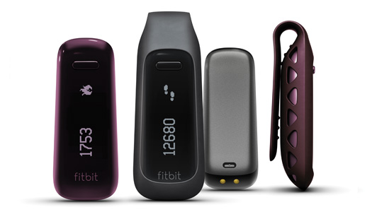 FitBit One