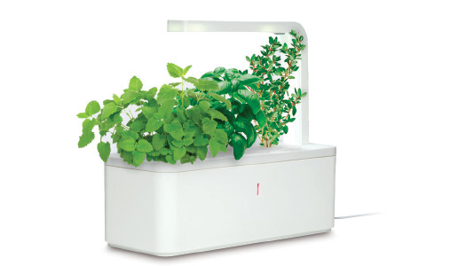 Smart Herb Garden