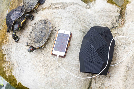 outdoortechbigturtle