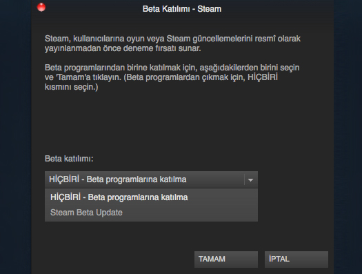 Steam beta