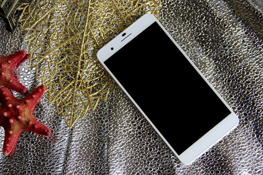 Huawei Honor 6 Plus