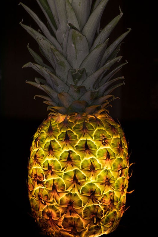 PP-Pineapple