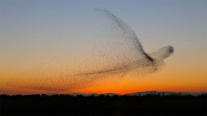 Daniel Biber fotoğraf doğa