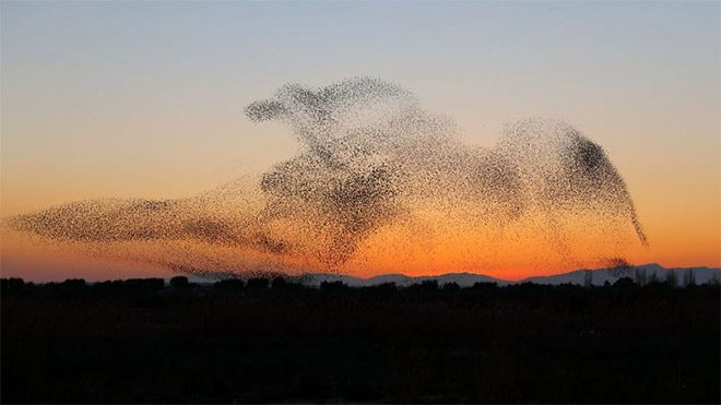 Daniel Biber fotoğraf doğa