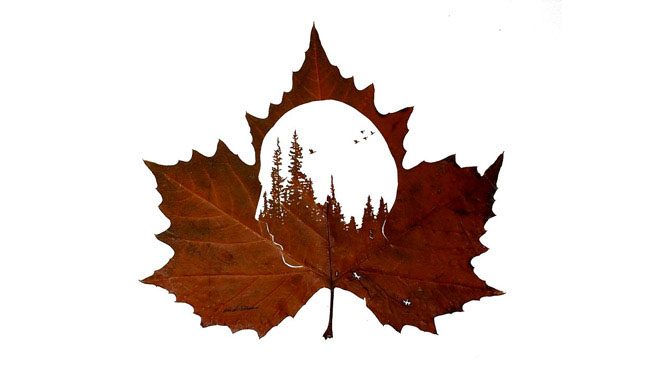 leaf art