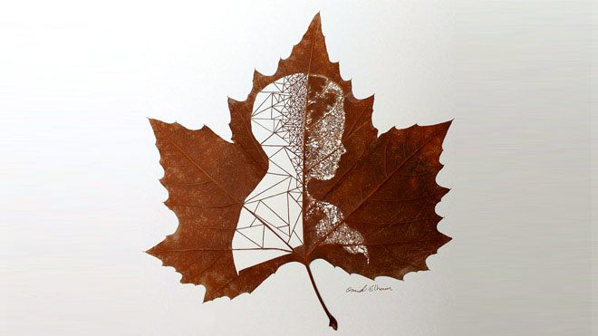 leaf art