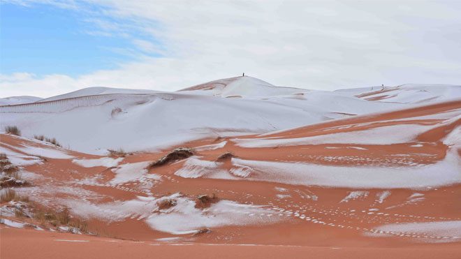 Sahara Desert