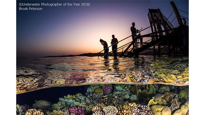 2018 Yılın Sualtı Fotoğrafçısı