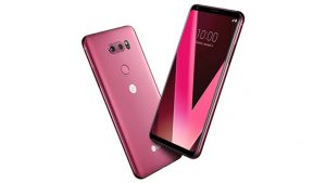 LG V30 Ahududu gülü