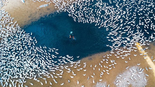 SkyPixel drone fotoğraf