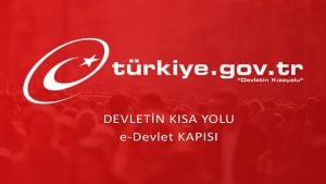 E-Devlet