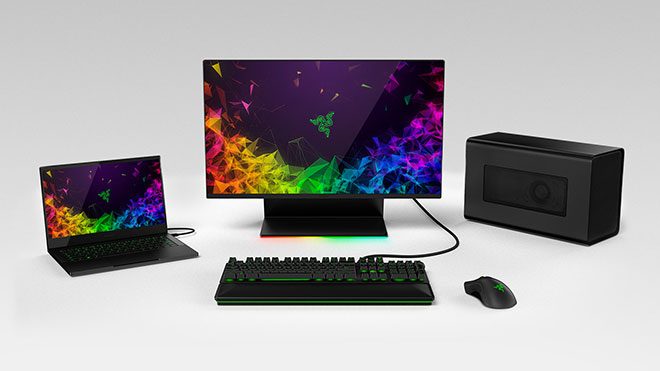 Razer Raptor Oyun Monitörü