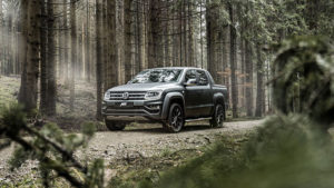 Amarok