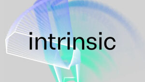 Google Intrinsic