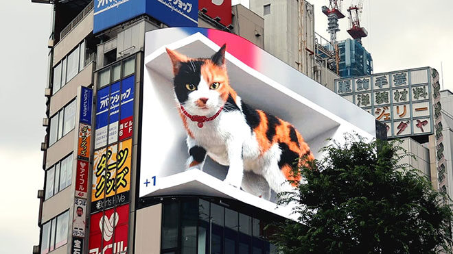 Tokyo'da bulunan ve devasa bir kediye can veren harika billboard LOG