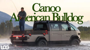 Canoo American Bulldog LOG Tasarım