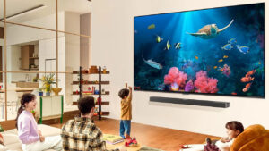 LG, 2024 QNED TV