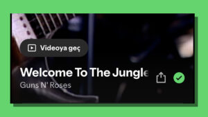 Spotify LOG Görsel