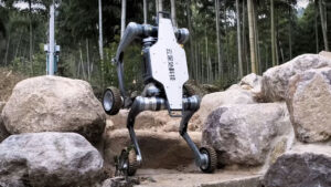 robot köpek